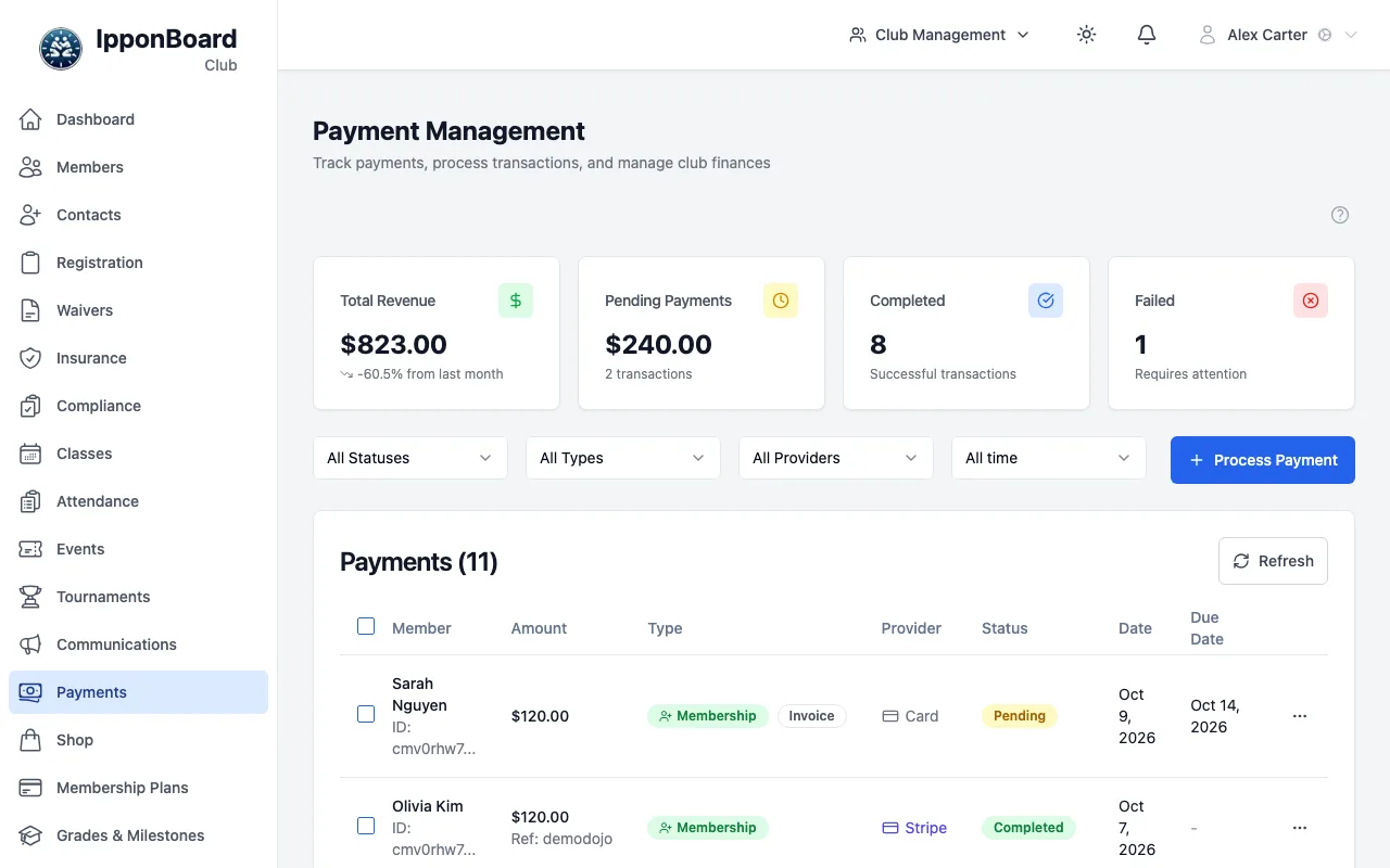 The Payment Management page: totals at the top, filters for status, type, provider and date, the Process Payment button, and the list of payments